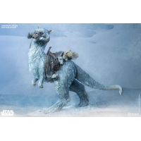 Sideshow - Sixth Scale Figure Related Product - Tauntaun