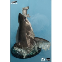 Infinity Studio - Museum Series - Carcharodon carcharias (Great White Shark) 