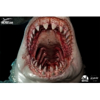 Infinity Studio - Museum Series - Carcharodon carcharias (Great White Shark) 