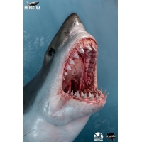 Infinity Studio - Museum Series - Carcharodon carcharias (Great White Shark) 