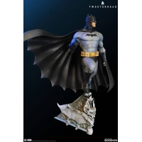 [Pre-Order] TWEETERHEAD - SUPER POWER COLLECTION ROBIN MAQUETTE