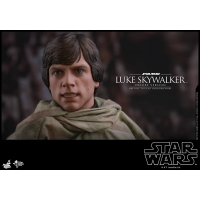 [Pre Order] Hot Toys - MMS516 - Star Wars - Return of the Jedi - 1/6th scale Luke Skywalker (Endor) Collectible Figure 