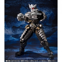 S.I.C - Tamashii Limited - Kamen Rider OOO Sagozo Combo