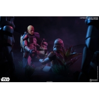 Sideshow - Sixth Scale Figure - Captain Rex