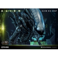 [Pre-Order] PRIME1 STUDIO - WAAL-05 ALIEN BIG CHAP (ALIEN FILM)