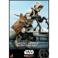 [Pre-Oder] Hot Toys - TMS016 - The Mandalorian - 1/6th scale Scout Trooper Collectible Figure