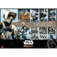 [Pre-Oder] Hot Toys - TMS016 - The Mandalorian - 1/6th scale Scout Trooper Collectible Figure