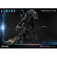 [Pre-Order] PRIME1 STUDIO - PMDHAL-02 WARRIOR ALIEN (ALIENS)