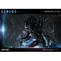 [Pre-Order] PRIME1 STUDIO - PMDHAL-02 WARRIOR ALIEN (ALIENS)