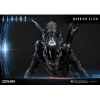 [Pre-Order] PRIME1 STUDIO - PMDHAL-02 WARRIOR ALIEN (ALIENS)