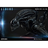 [Pre-Order] PRIME1 STUDIO - PMDHAL-02 WARRIOR ALIEN (ALIENS)