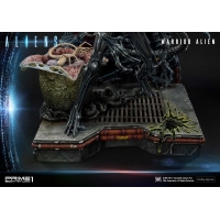 [Pre-Order] PRIME1 STUDIO - PMDHAL-02 WARRIOR ALIEN (ALIENS)