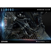 [Pre-Order] PRIME1 STUDIO - PMDHAL-02 WARRIOR ALIEN (ALIENS)