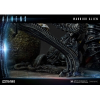 [Pre-Order] PRIME1 STUDIO - PMDHAL-02 WARRIOR ALIEN (ALIENS)