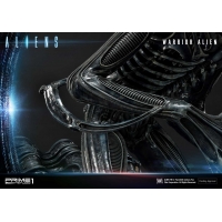 [Pre-Order] PRIME1 STUDIO - PMDHAL-02 WARRIOR ALIEN (ALIENS)