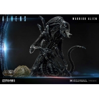 [Pre-Order] PRIME1 STUDIO - PMDHAL-02 WARRIOR ALIEN (ALIENS)