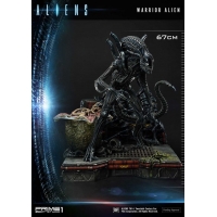 [Pre-Order] PRIME1 STUDIO - PMDHAL-02 WARRIOR ALIEN (ALIENS)