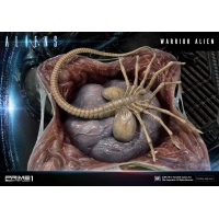 [Pre-Order] PRIME1 STUDIO - PMDHAL-02 WARRIOR ALIEN (ALIENS)