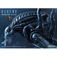 [Pre-Order] PRIME1 STUDIO - PMDHAL-02 WARRIOR ALIEN (ALIENS)