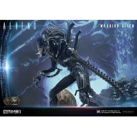 [Pre-Order] PRIME1 STUDIO - PMDHAL-02 WARRIOR ALIEN (ALIENS)