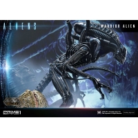 [Pre-Order] PRIME1 STUDIO - PMDHAL-02 WARRIOR ALIEN (ALIENS)