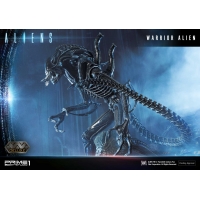 [Pre-Order] PRIME1 STUDIO - PMDHAL-02 WARRIOR ALIEN (ALIENS)