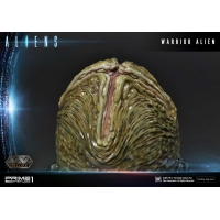 [Pre-Order] PRIME1 STUDIO - PMDHAL-02 WARRIOR ALIEN (ALIENS)