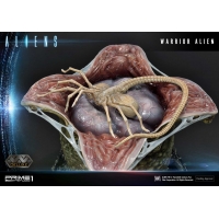 [Pre-Order] PRIME1 STUDIO - PMDHAL-02 WARRIOR ALIEN (ALIENS)