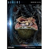 [Pre-Order] PRIME1 STUDIO - PMDHAL-02 WARRIOR ALIEN (ALIENS)