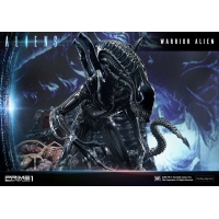 [Pre-Order] PRIME1 STUDIO - PMDHAL-02 WARRIOR ALIEN (ALIENS)