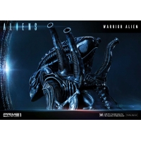 [Pre-Order] PRIME1 STUDIO - PMDHAL-02 WARRIOR ALIEN (ALIENS)