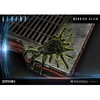 [Pre-Order] PRIME1 STUDIO - PMDHAL-02 WARRIOR ALIEN (ALIENS)