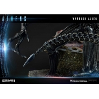 [Pre-Order] PRIME1 STUDIO - PMDHAL-02 WARRIOR ALIEN (ALIENS)