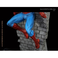 Imaginarium Art - The Amazing Spiderman