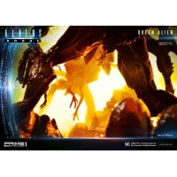 [Pre-Order] PRIME1 STUDIO - PMDHAL-03: QUEEN ALIEN (ALIENS)