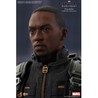 Hot Toys - CAWS - Falcon