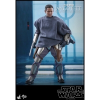 [Pre-Order] Hot Toys - TMS026 - The Mandalorian™ - 1/6th scale Death Watch Mandalorian™ Collectible Figure