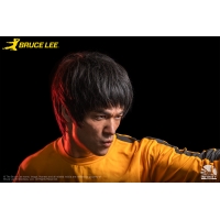 Infinity Studio - Bruce Lee Life Size Bust