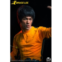 Infinity Studio - Bruce Lee Life Size Bust