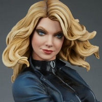 [Pre-Order] SIDESHOW COLLECTIBLES - BLACK CANARY PREMIUM FORMAT STATUE