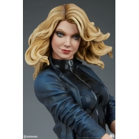 [Pre-Order] SIDESHOW COLLECTIBLES - BLACK CANARY PREMIUM FORMAT STATUE