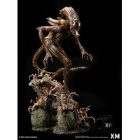 [Pre-Order] XM STUDIO - ALIEN HIVE WARRIOR STATUE