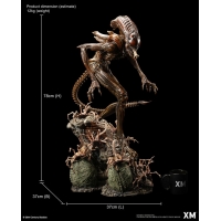 [Pre-Order] XM STUDIO - ALIEN HIVE WARRIOR STATUE