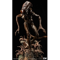 [Pre-Order] XM STUDIO - ALIEN HIVE WARRIOR STATUE