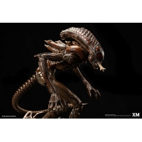 [Pre-Order] XM STUDIO - ALIEN HIVE WARRIOR STATUE