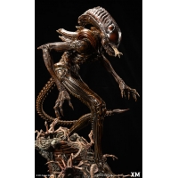 [Pre-Order] XM STUDIO - ALIEN HIVE WARRIOR STATUE