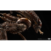 [Pre-Order] XM STUDIO - ALIEN HIVE WARRIOR STATUE