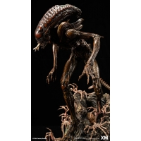 [Pre-Order] XM STUDIO - ALIEN HIVE WARRIOR STATUE