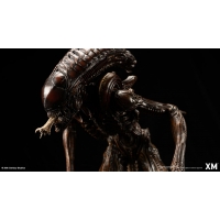 [Pre-Order] XM STUDIO - ALIEN HIVE WARRIOR STATUE