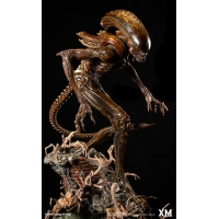 [Pre-Order] XM STUDIO - ALIEN HIVE WARRIOR STATUE